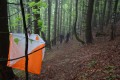 Vabilo na POT Ponikva pri Žalcu, 6. 10. 2024 